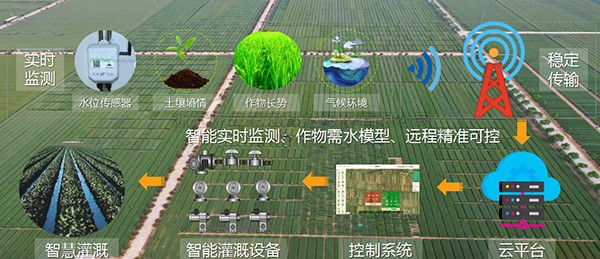 茄子视频污免费观看：以現代種業標準，助力製種大縣建設任務