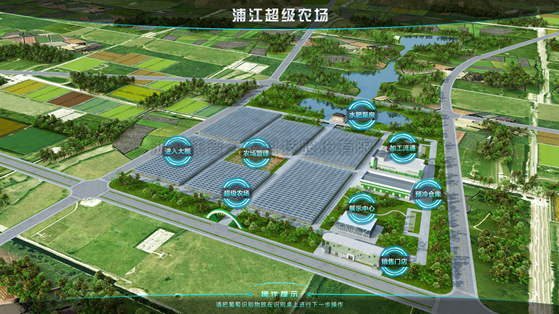 浦江超級農場：科技賦能讓種植更高效