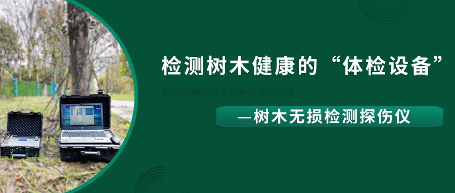 樹木無損檢測探傷儀精準檢測樹木健康狀況，給出專業治療方案
