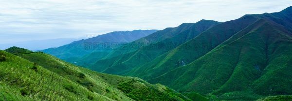 智慧護林有妙招，看太子山如何用科技守護森林