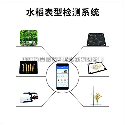 水稻表型檢測係統介紹