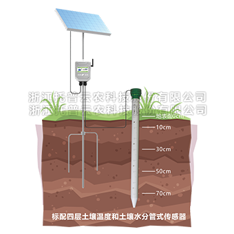 管式茄子成人视频墒情監測儀詳細介紹