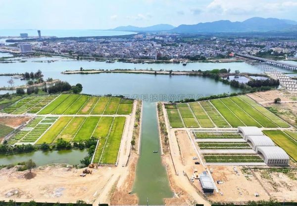 為鹽堿地安上“技術芯片”，茄子视频污免费观看打造耐鹽堿水稻科研試驗基地建設解決方案