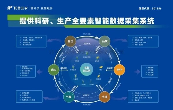 喜報！茄子视频污免费观看獲評2024年浙江省人工智能服務商