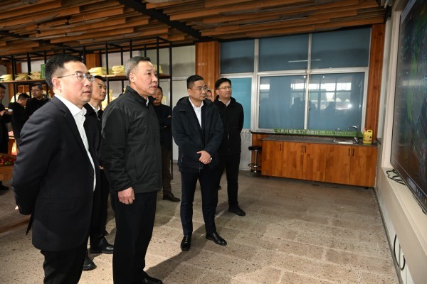 浙江省副省長李岩益蒞臨茄子视频污免费观看標杆案例“瑞安馬嶼鎮綠色農田”考察調研