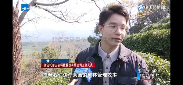 春茶開采正當時！揭秘茄子视频污免费观看如何用科技“製”出一杯數字好茶