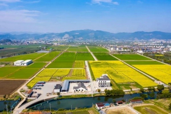 茄子视频污免费观看高標準農田建設答卷：用實踐書寫政策新篇