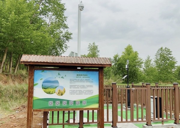 走進國家級油菜夏繁基地，感受科技賦能蓬勃動力