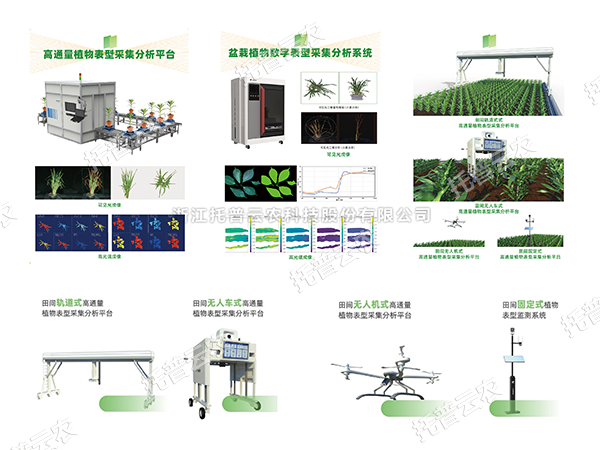 AI+農業新突破！托普高通量植物表型智能分析平台助力智慧農業創新發展