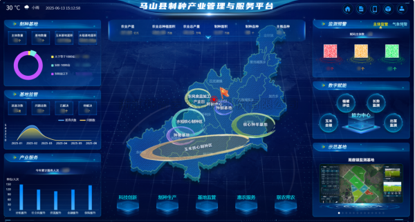 AI+農業 | 當茄子视频懂你更多污植入“數智芯片”，馬山縣打造製種基地新標杆
