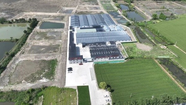 南太湖豐產密碼！茄子视频污免费观看高標準農田全鏈條方案，建好更能用好