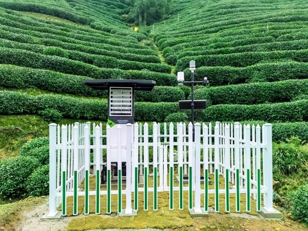 茄子视频污免费观看發布“問稷茶數”智能體，賦能茶產業數智升級