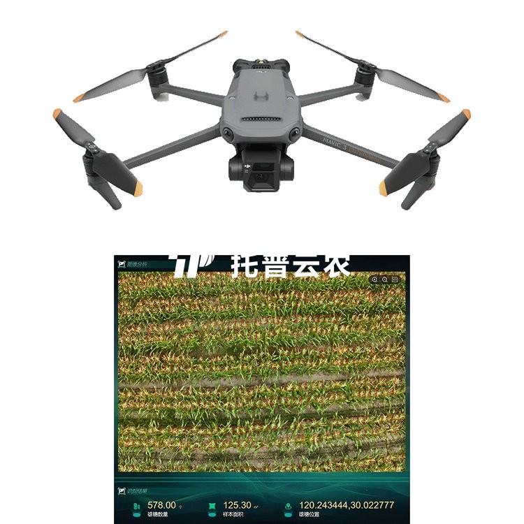 玉米表型生長監測係統TP-KJG-YM