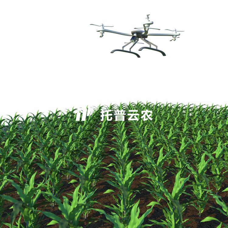 田間無人機式高通量植物表型采集分析平台