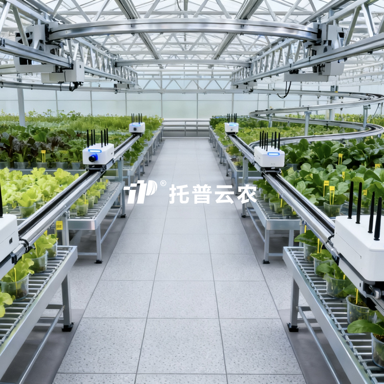 溫室巡軌式表型采集分析係統TP-DG-1\TP-DG-3