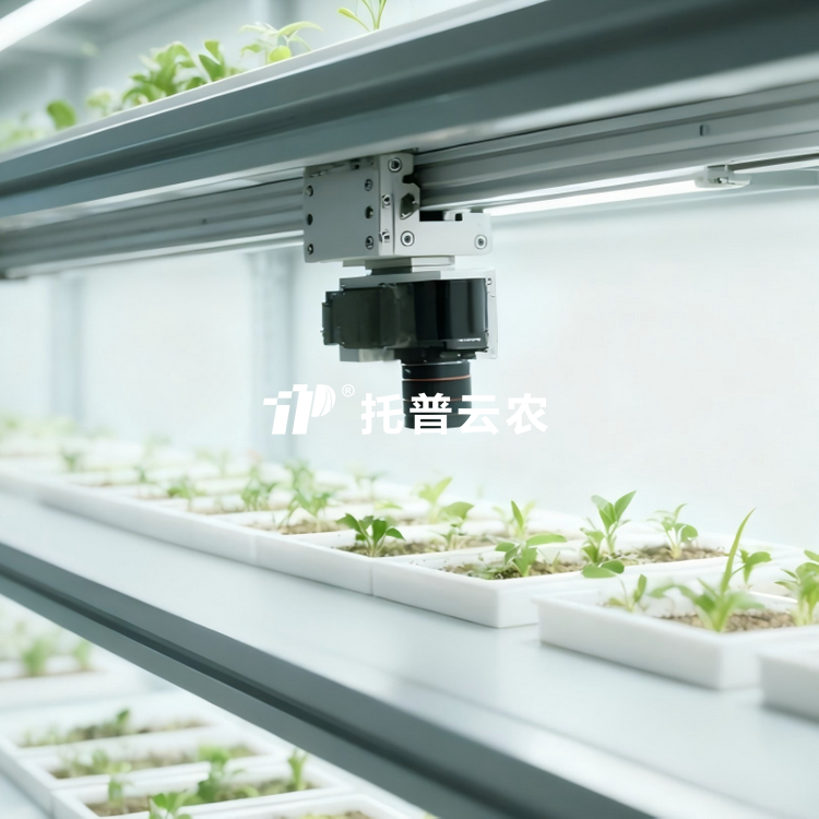 人工氣候室植物表型監測係統TP-PlantPhy
