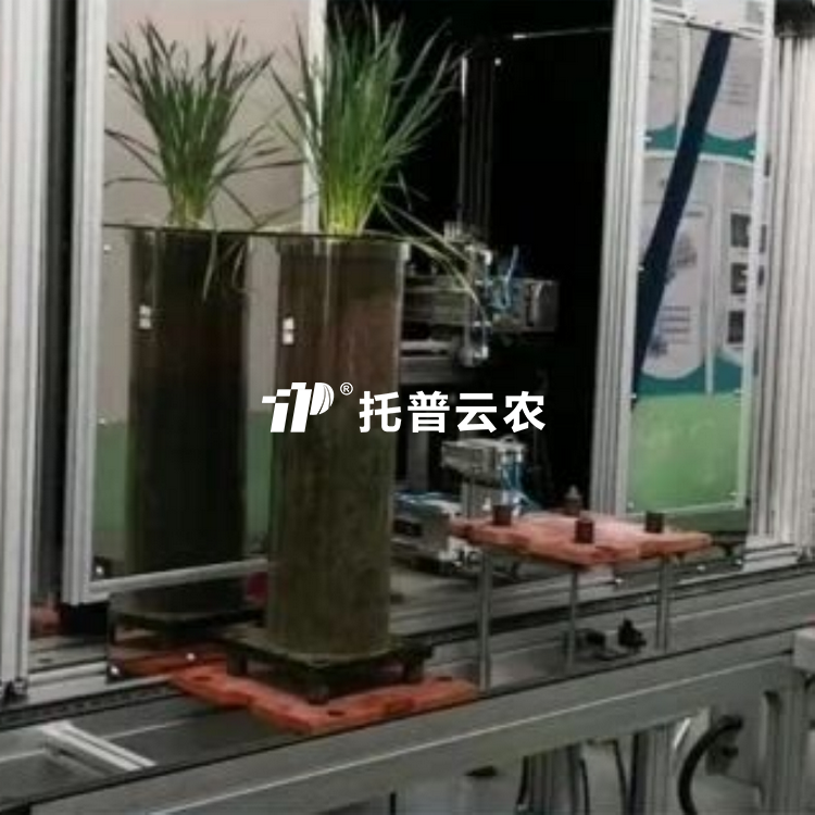 高通量植物根係表型采集分析係統（根筒式）TPN-GXY-GT
