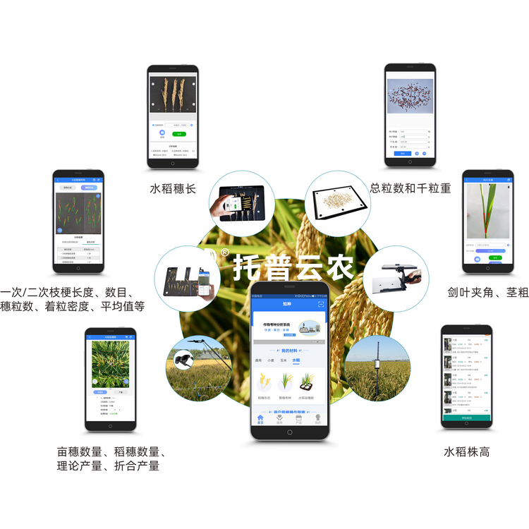 水稻表型檢測係統 TPS-BX-2