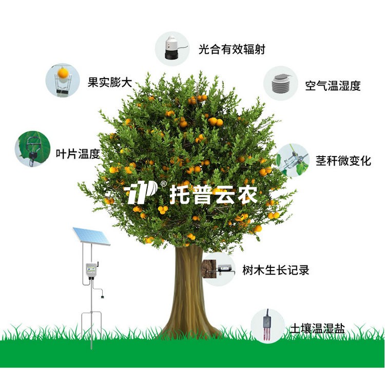 植物生理生態監測係統 TP-ZWSL係列