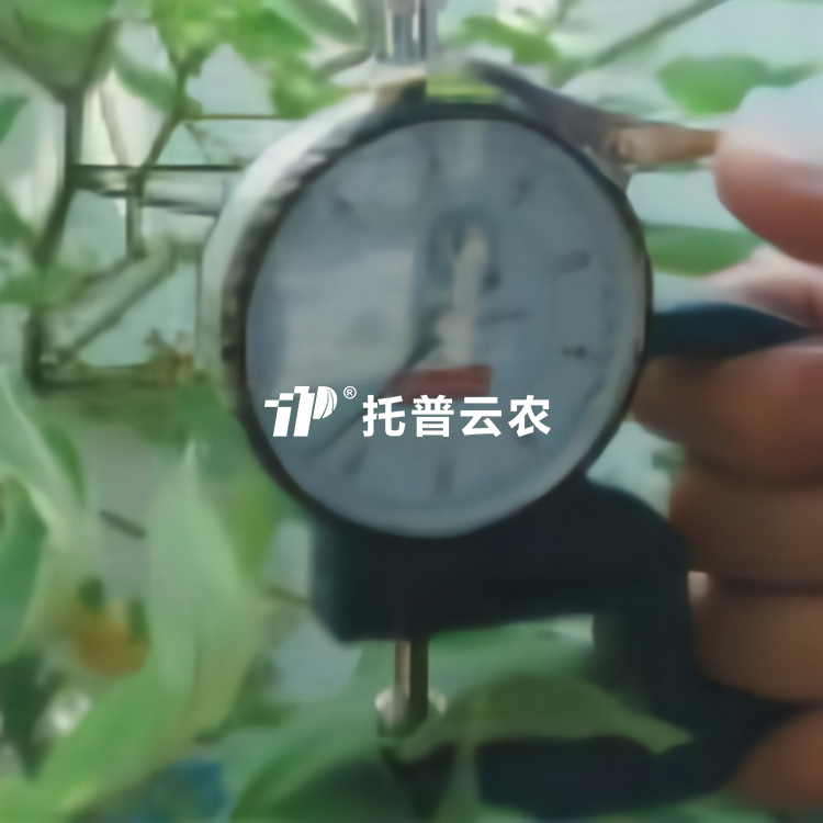 葉片厚度測定儀 YH-1