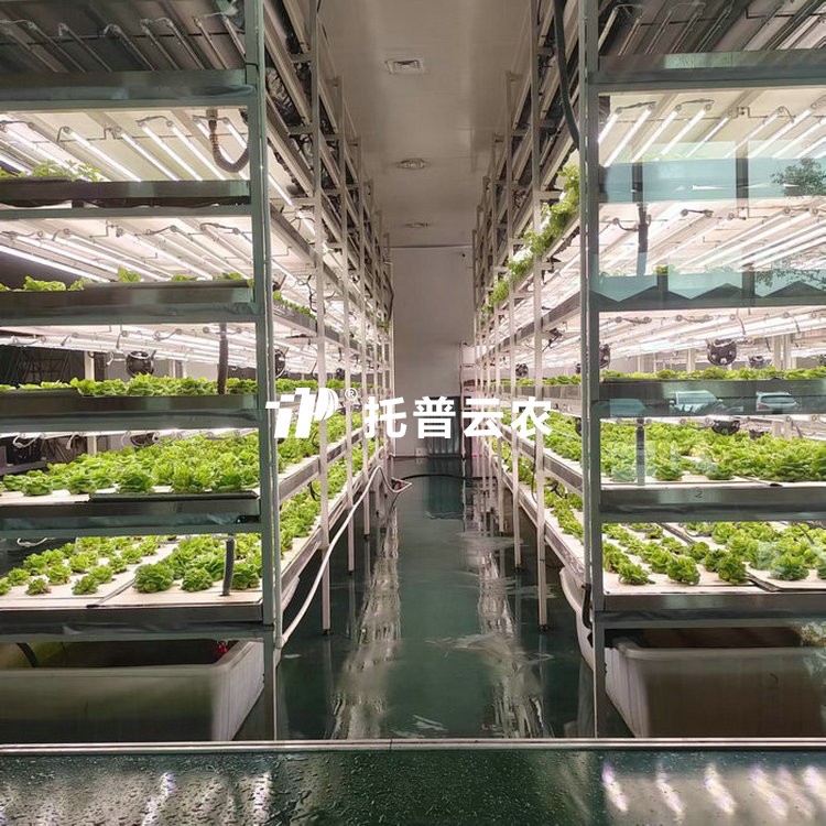 植物組培室 /