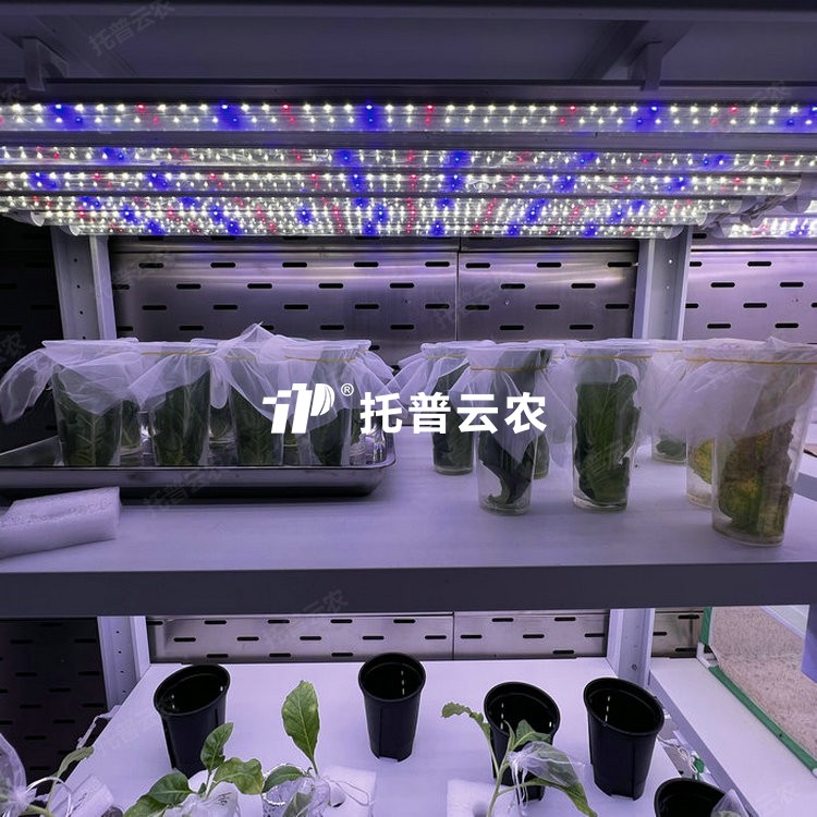 養蟲室/