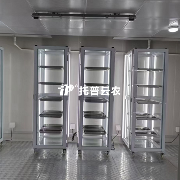 茄子视频懂你更多污發芽室 /