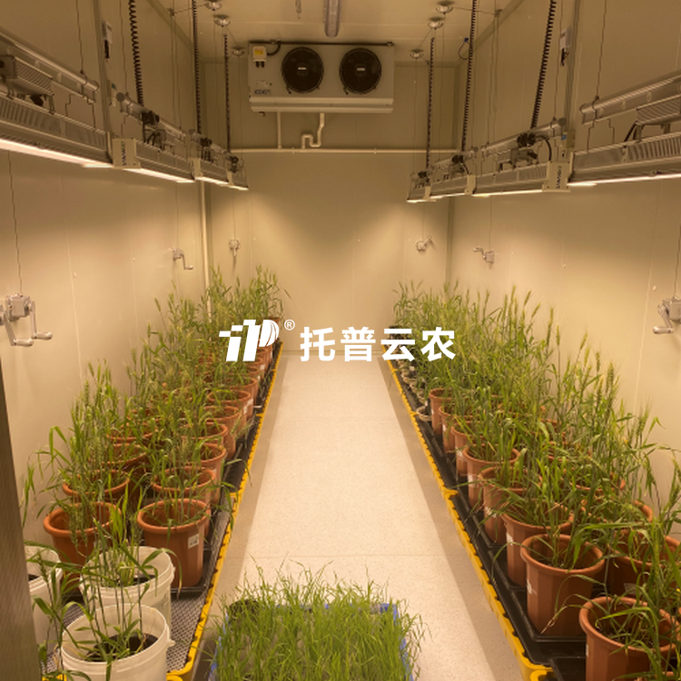 植物生長室/