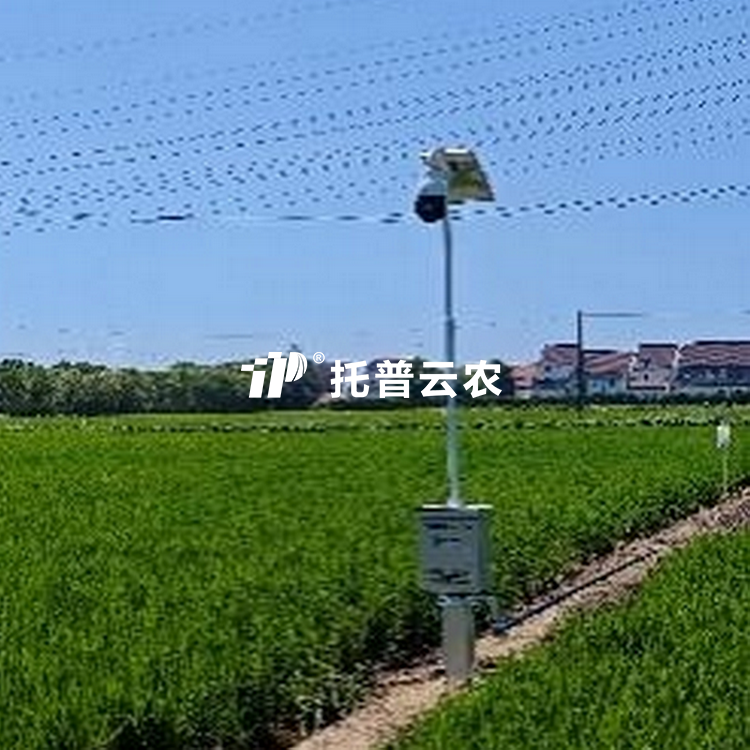 自動趕蛾智能統計杆TP-GESB2.0
