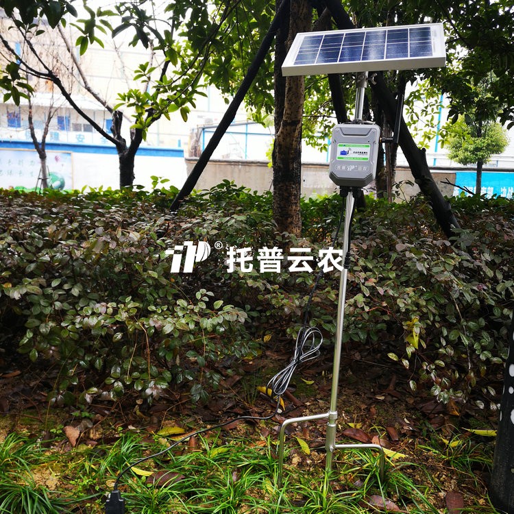 在線茄子成人视频水分溫度鹽分測定儀