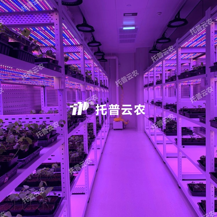 培養架型人工氣候室介紹|培養架型人工氣候室核心亮點有哪些？