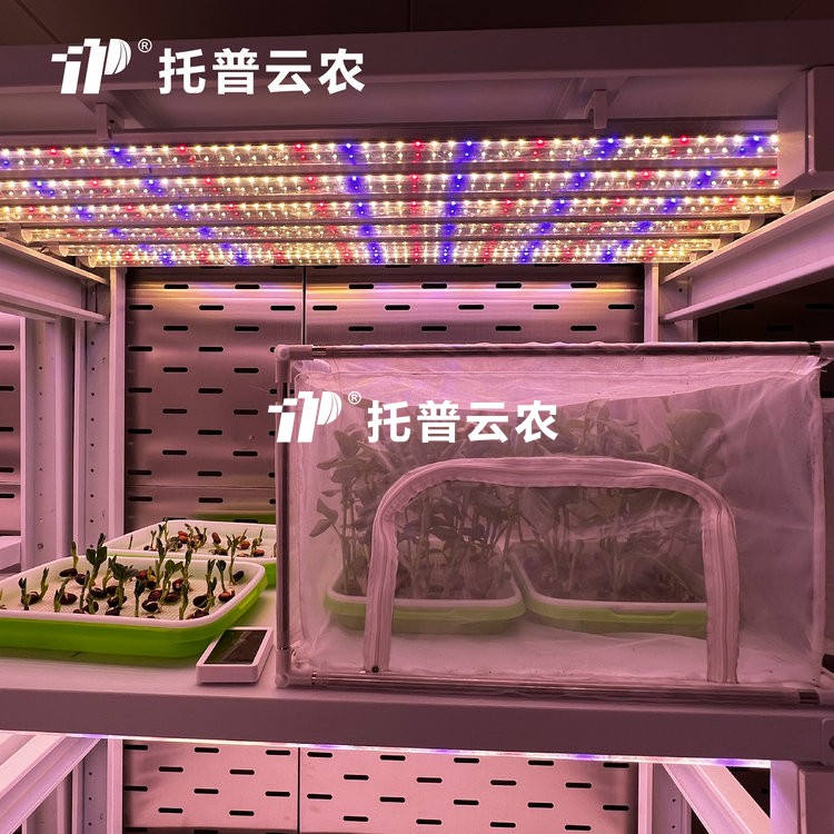 頂置光源人工氣候室是什麽？