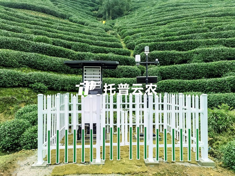 智慧茶園綜合解決方案|智慧茶園數字化建設方案