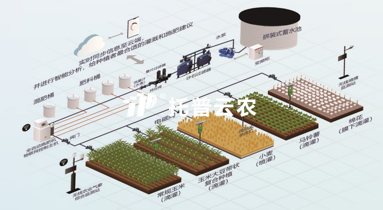 水肥一體化項目建設方案|智能水肥一體化項目實施方案