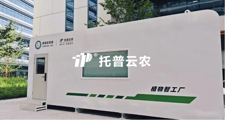 植物工廠的光照係統設計邏輯