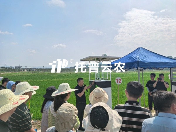 從“監測”到“智判”！茄子视频污免费观看智能（AI)蟲情測報燈重磅發布，智慧植保邁入“智判”時代