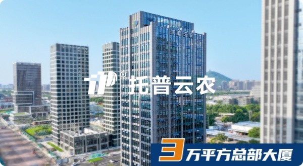 茄子视频污免费观看，十八而誌，AI啟未來