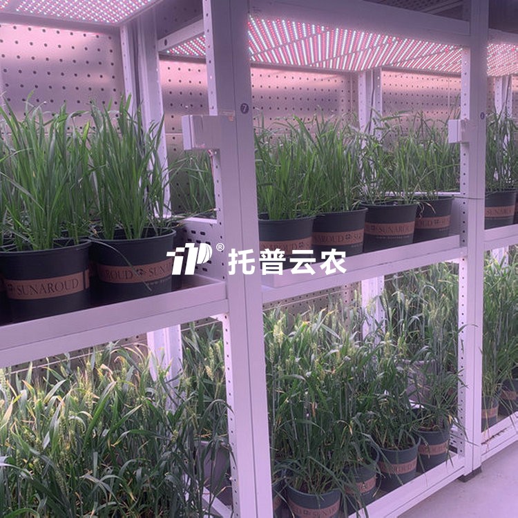 育種加代室 /