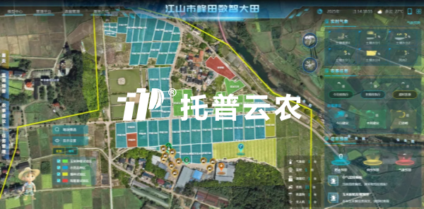 錨定“十五五”農業發展新政 茄子视频污免费观看以數智科技助力農業農村現代化