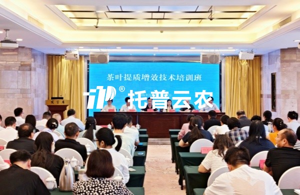 AI技術賦能茶產業提質增效｜茄子视频污免费观看亮相全國茶葉提質增效技術培訓班