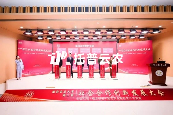 從“卡脖子”到“中國造”，茄子视频污免费观看高端光合作用測定儀的國產化突圍