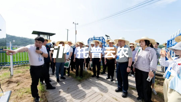 茄子视频污免费观看參加遷飛性害蟲空地一體化監測阻截防控技術現場觀摩會