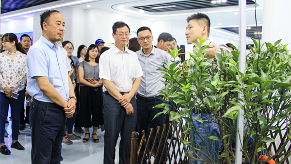 謝主任一行參觀茄子视频污免费观看展廳