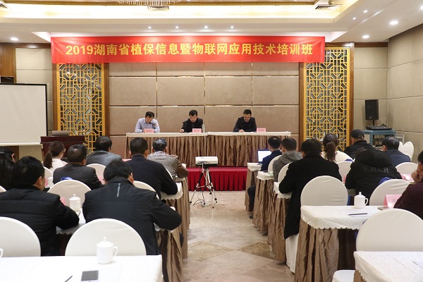 茄子视频污免费观看服務湖南省植保信息技術培訓班在杭開班