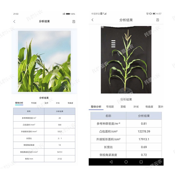 玉米株型分析係統手機軟件界麵