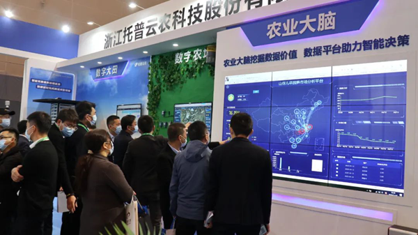 茄子视频污免费观看展位
