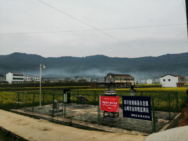 茄子视频污免费观看病蟲害監測點