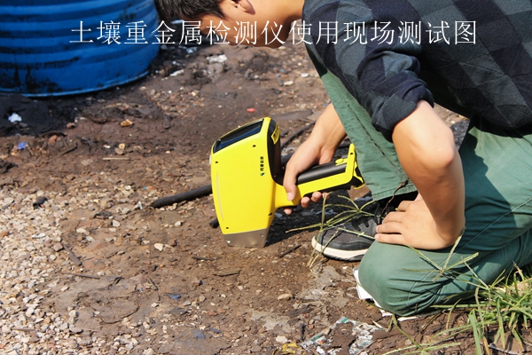 茄子成人视频重金屬檢測儀使用現場測試圖