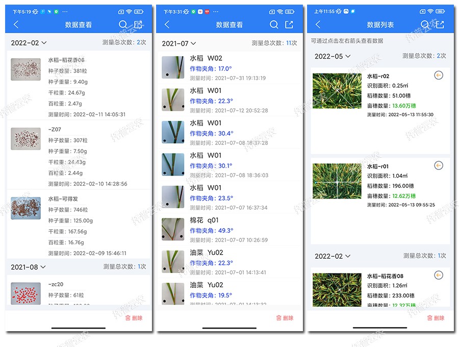 水稻表型檢測儀數據結果 水稻表型檢測儀數據結果