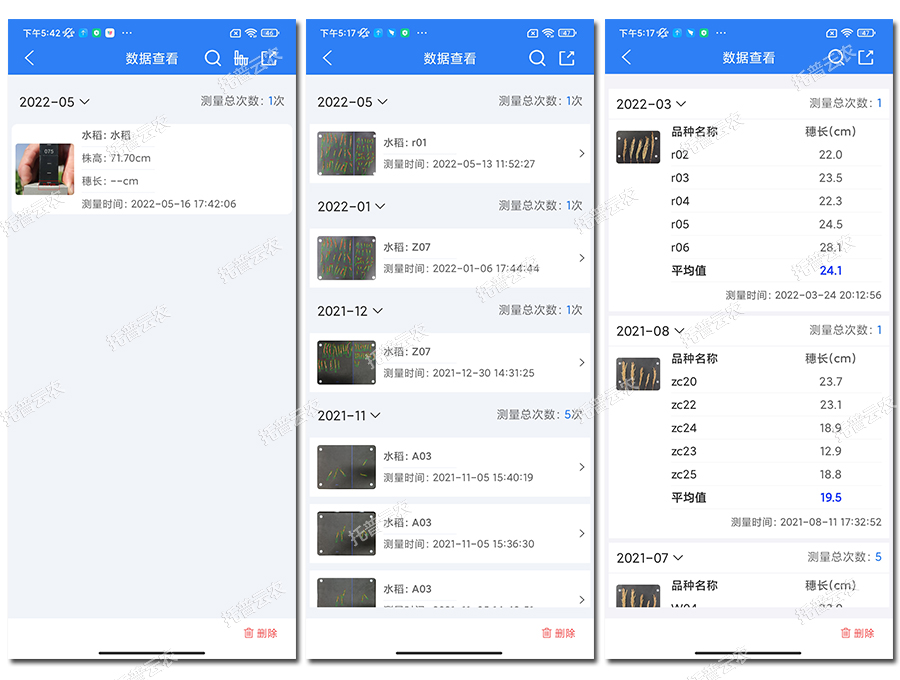 水稻表型檢測儀數據結果2 水稻表型檢測儀數據結果2
